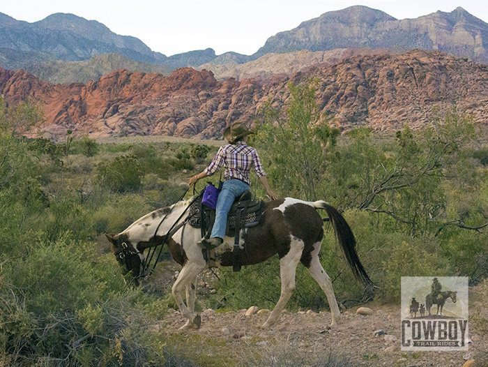 Cowboy Trail Rides - Wrangler Deryn turned around on horseback taling to a rider behind her